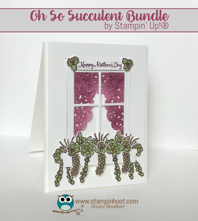 Stampin' Up! Oh So Succulent Stamp Set and Succulent Framelits Dies, Retiring May 31st, While Supplies Last, Stampin' Hoot! Stesha Bloodhart #stampinup, #mothersday #flowers