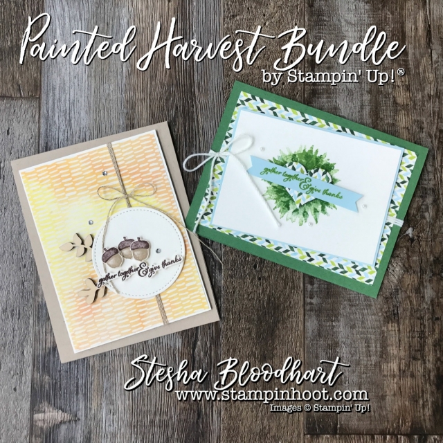 Painted Harvest Bundle by Stampin' Up! for Remarkable InkBig Blog Hop at Stampin' Hoot! Stesha Bloodhart #stampinup #remarkableinkbigbloghop #paintedharvest #thankyoucards #cardmaking #papercrafts #handmade #diy #demonstrator #fall #autumn