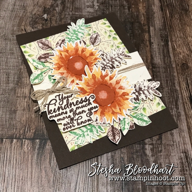 Painted Harvest Bundle Sneak Peek - Day 2 - Stampin' Hoot