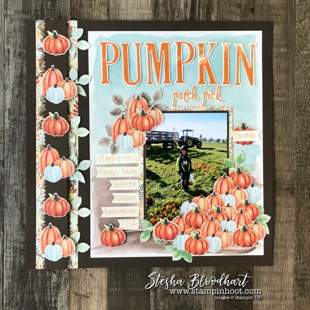 Painted Autumn Designer Series Paper for a Pumpkin Patch Scrapbook Page, details and daily inspiration at Stampin' Hoot! Stesha Bloodhart #scrapbook #scrapbooklayout #paintedautumndsp #fall #pumpkins #stampinup #stampinhoot #papercrafts