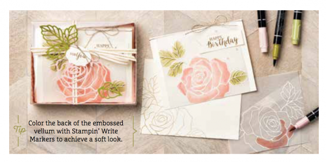 Rose Wonder Stamp Set Tip of Coloring on Vellum