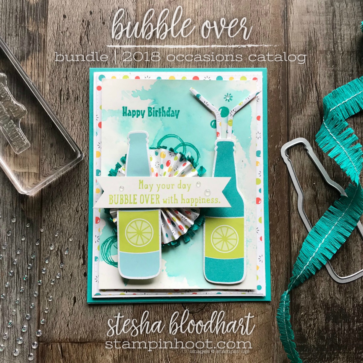 Bubble Over Bundle by Stampin' Up! 2018 Occasions Catalog, Bubbles & Fizz DSP by Stampin' Up! 2018 Sale-a-Bration Catalog Card Created by Stesha Bloodhart, Stampin' Hoot! For the December Birthdays Blog Hop #steshabloodhart #stampinhoot