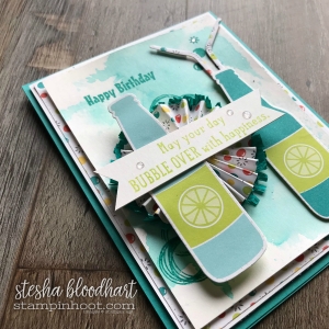 Bubble Over Bundle by Stampin' Up! 2018 Occasions Catalog, Bubbles & Fizz DSP by Stampin' Up! 2018 Sale-a-Bration Catalog Card Created by Stesha Bloodhart, Stampin' Hoot! For the December Birthdays Blog Hop #steshabloodhart #stampinhoot