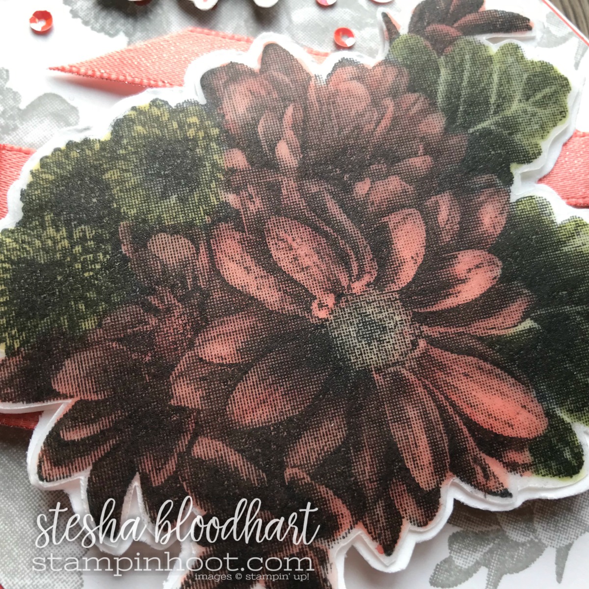 Heartfelt Blooms 2018 Sale-a-Bration Set Earned Free with $50 Purchase, Buy Online at Stampin' Hoot! Stesha Bloodhart #stampinhoot #steshabloodhart