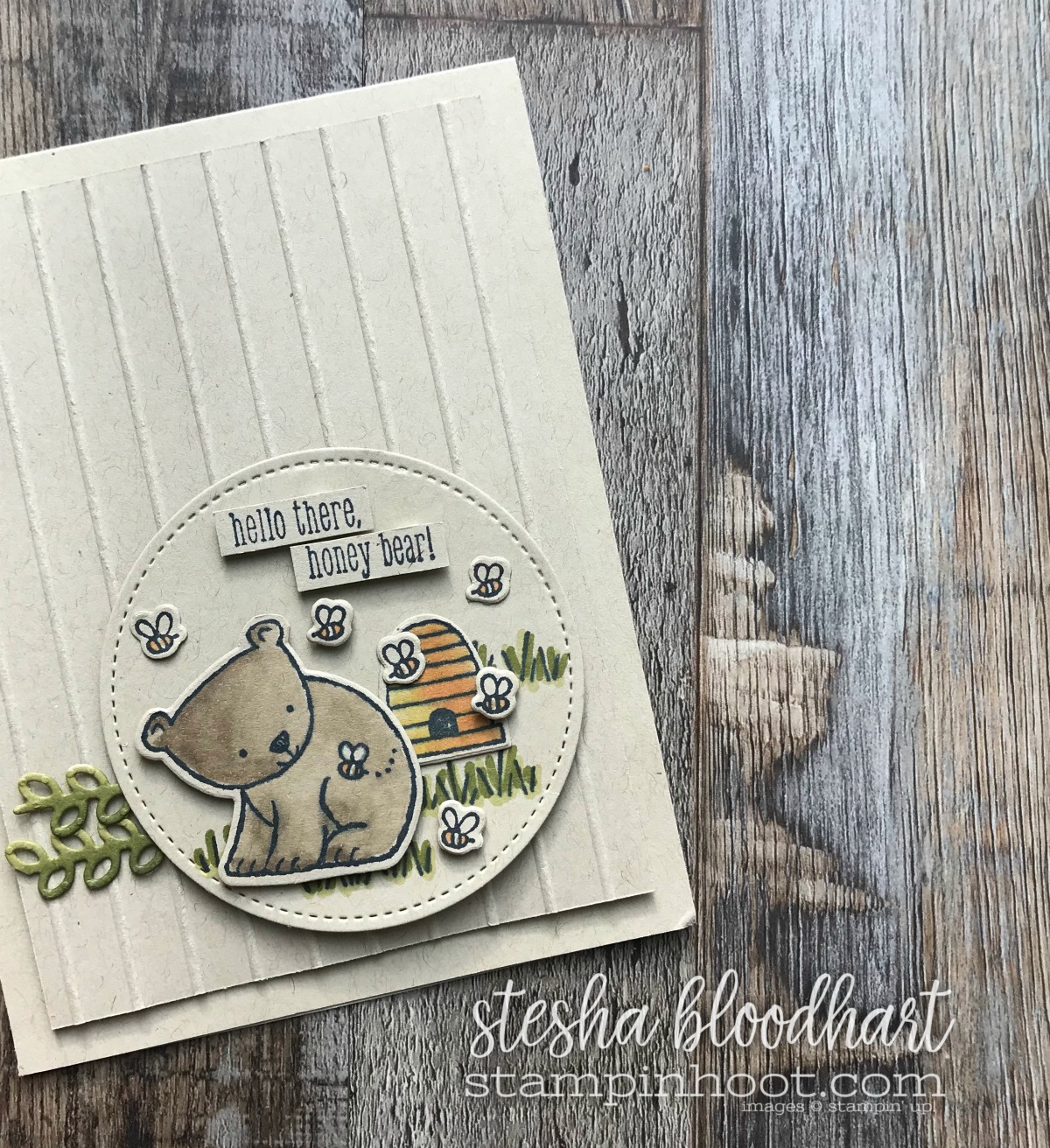 A Little Wild Bundle by Stampin' Up! 2017/2018 Annual Catalog Card Created by Stesha Bloodhart, Stampin' Hoot! #stampinhoot #steshabloodhart #bloghop