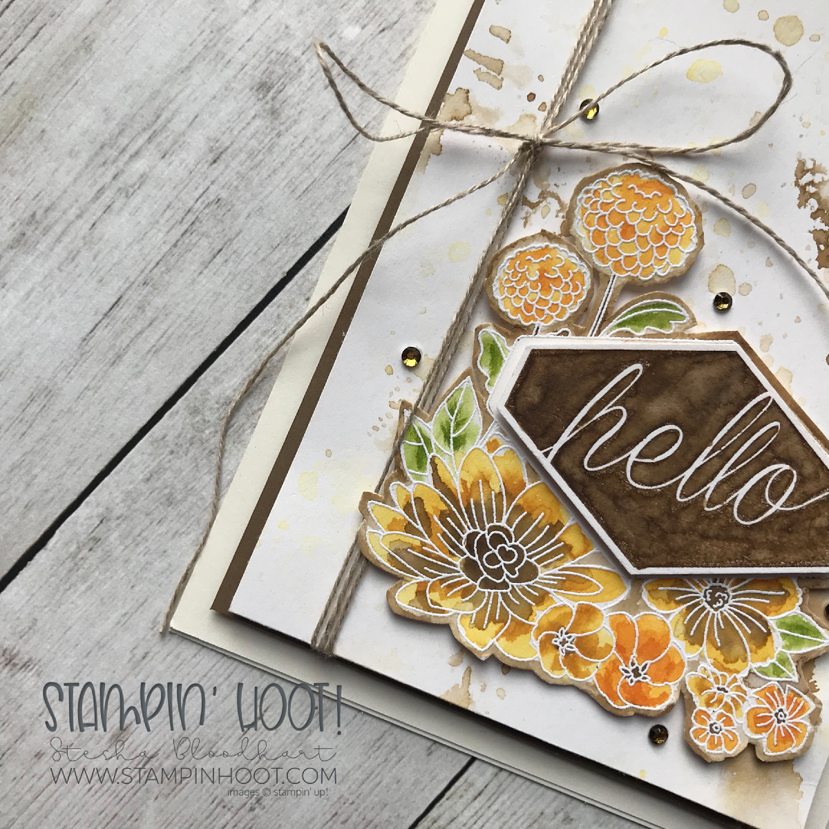 Accented Blooms Stamp Set by Stampin' Up! Hello Card by Stesha Bloodhart, Stampin' Hoot! #steshabloodhart #stampinhoot