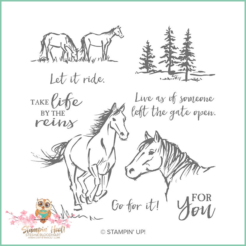 148765 Let It Ride Cling Stamp by Stampin' Up!