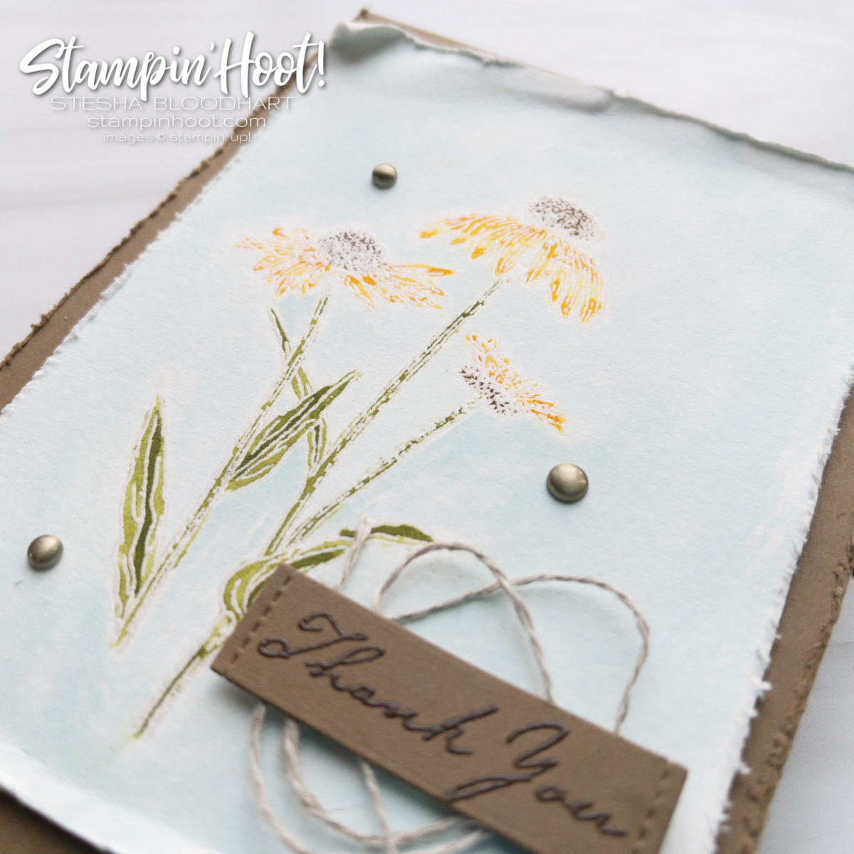 Nature's Harvest Stamp Set from Stampin' Up! Available August 3 Thank you card by Stesha Bloodhart Stampin' Hoot Nature's Harvest Stamp Set from Stampin' Up! Available August 3 Thank you card by Stesha Bloodhart Stampin' Hoot