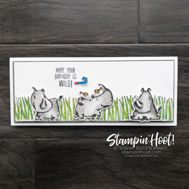 Create a slimline birthday card with the Online Exclusive Rhino Ready Bundle by Stampin' Up! Card Designed by Stesha Bloodhart, Stampin' Hoot!