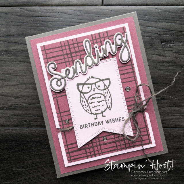 Create this Sending Birthday Wishes Card with the Birds Eye View Stamp Set, Sending Wishes and Sending Dies by Stesha Bloodhart, Stampin' Hoot!