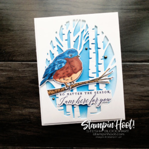 Create this beautiful season card using the Perched in a Tree Stamp Set and Aspen Tree Dies by Stampin' Up! Card by Stesha Bloodhart, Stampin' Hoot!