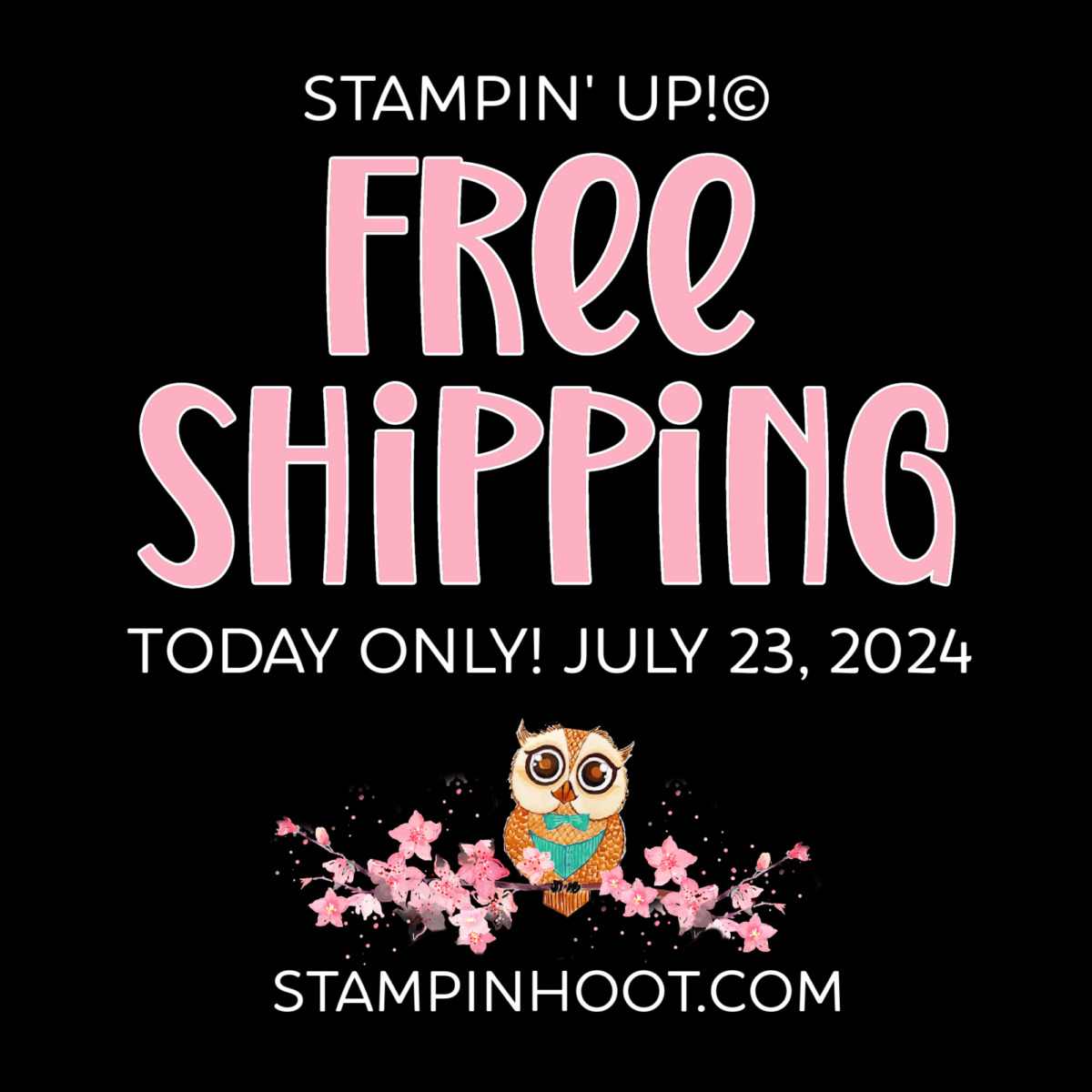 Free Shipping Ends Tonight! Pair It With $10 In Free Hoot Loot 